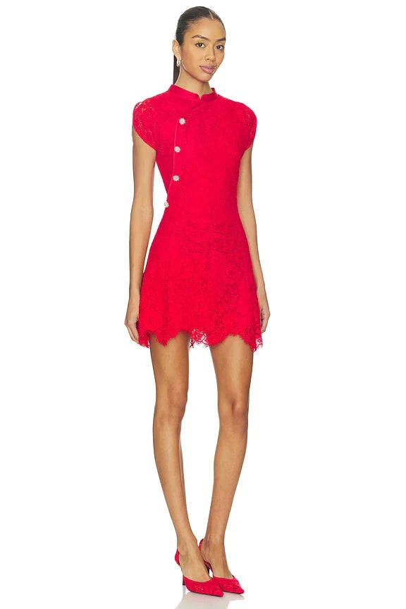 Fine Lace Mini Dress