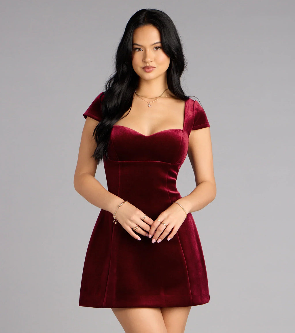 Dana Velvet A-Line Mini Dress