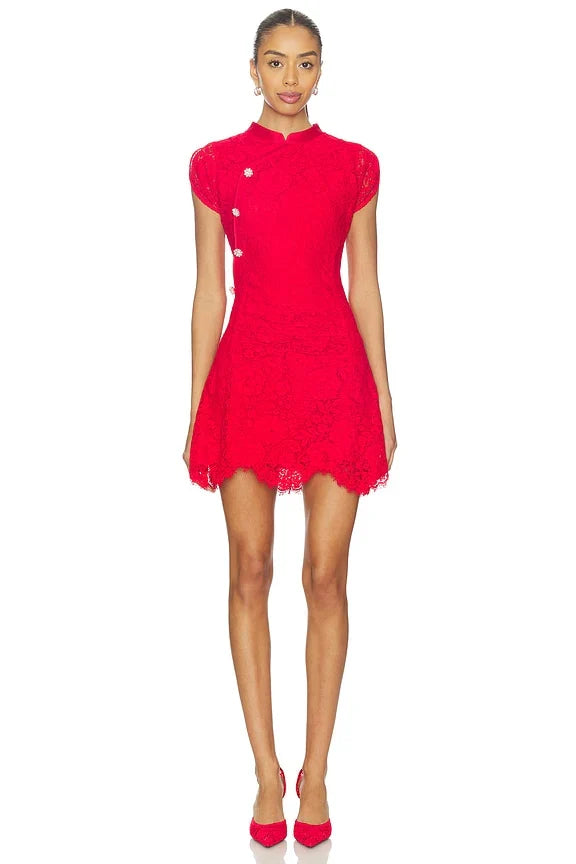 Fine Lace Mini Dress